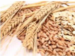 Mixed Fermented Grain Enzyme [ 발효 곡물 효소]