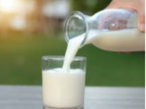 Milk Protein [ 유즙 ]
