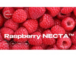 Raspberry NECTA [항산화]